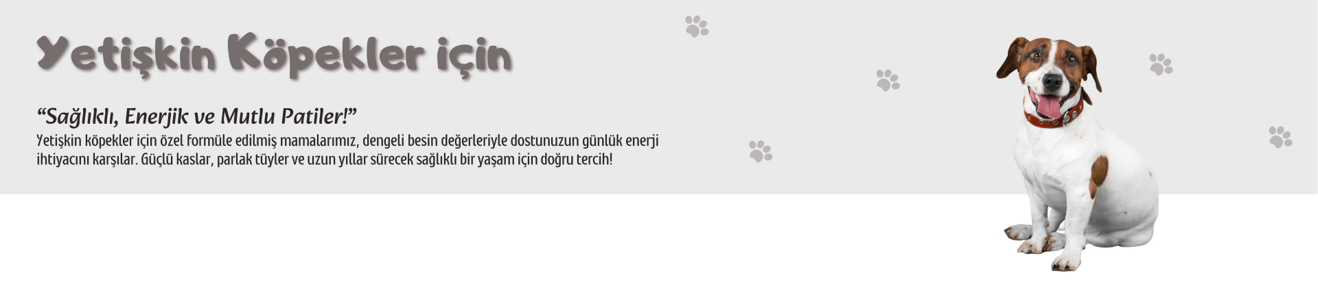 Ekopati